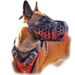Black Painted Leather Dog Harness for Belgian Malinois