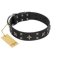 "Star Excitement" Modern FDT Artisan Black Leather Belgian Malinois Collar with Studs and Stars