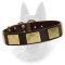Handcrafted Leather Dog Collar With Vintage Massive Plates