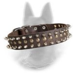 New Leather Belgian Malinois Collar Decorated with 2 Row Spikes and 1 Row Brass Studs