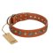 "Natural Beauty" FDT Artisan Tan Leather Belgian Malinois Collar with Shining Silver-like Studs