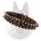 Belgian Malinois Spiked and Studded Rows of Decor on Leather Collar