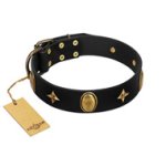 "Star Powder" FDT Artisan Black Leather Belgian Malinois Collar with Ovals and Stars - 1 1/2 inch Wide