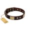 "Middle Age" FDT Artisan Brown Leather Belgian Malinois Collar with Old Bronze-Plated Engraved Flowers and Large Plates