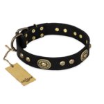 "High Fashion" FDT Artisan Studded with Plates Black Leather Belgian Malinois Collar