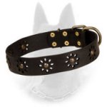 'Spring mood' Leather Belgian Malinois Collar for Stylish Walking