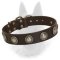 Marvelous Leather Dog Collar With Beautiful Medallions