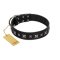 "Polar Lights" Designer FDT Artisan Black Leather Belgian Malinois Collar with Silver-Like Studs