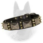 Belgian Malinois Leather Dog Collar with Old Nickel Plates and Brass Spikes