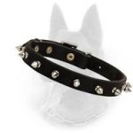 Leather Spiked Dog Collar- 1 Row of Spikes