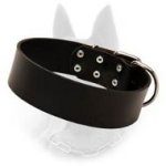 Wide Leather Belgian Malinois Dog Collar For Protection Work