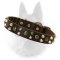 Belgian Malinois Studded Leather Dog Collar with Nickel Pyramids