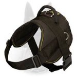 Adjustable Nylon Belgian Malinois Harness for Pulling, Walking and Training
