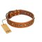"Prez of the Pack" FDT Artisan Tan Leather Belgian Malinois Collar with Skulls and Brooches