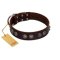 "King Arthur" FDT Artisan Brown Leather Belgian Malinois Collar with Spiky Plates