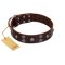 "Skull Valley" Handcrafted FDT Artisan Brown Leather Belgian Malinois Collar with Skulls