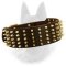 Ultra Wide Leather Dog Collar With 5 Rows Of Brass Spikes