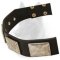 Leather Belgian Malinois Collar with Massive Nickel Plates
