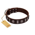 "Spiky Way" FDT Artisan Brown Leather Belgian Malinois Collar with Silver-Like Decorations