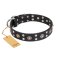 "Refined Essence" FDT Artisan Black Leather Belgian Malinois Collar with Silvery Studs