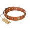 "Visual Magic" FDT Artisan Tan Leather Belgian Malinois Collar for Daily Activities