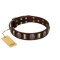 "Skull's Adventure" FDT Artisan Brown Leather Belgian Malinois Collar with Plates and Ovals