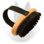 Bristle Belgian Malinois Brush for Everyday Combing