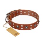 "Silver Elegance" FDT Artisan Decorated Leather Belgian Malinois Collar with Old Silver-Like Plated Studs and Cones