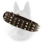 Belgian Malinois Spiked Leather Dog Collar with Brass Studs and Nickel Spikes