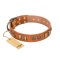 "Natural Beauty" FDT Artisan Tan Leather Belgian Malinois Collar with Old Bronze-like Circles and Plates