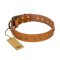 "Autumn Story" FDT Artisan Leather Belgian Malinois Collar with Old Bronze Look Studs