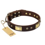"Rich Fashion" FDT Artisan Decorated Leather Belgian Malinois Collar with Plates and Studs