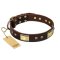 "Rich Fashion" FDT Artisan Decorated Leather Belgian Malinois Collar with Plates and Studs