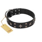 "Star Excitement" Modern FDT Artisan Black Leather Belgian Malinois Collar with Studs and Stars