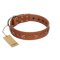"Star Shine" Exclusive FDT Artisan Tan Leather Belgian Malinois Collar with Silver-Like Adornments