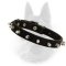 Leather Spiked Dog Collar- 1 Row of Spikes