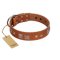 "Egyptian Gifts" Handmade FDT Artisan Tan Leather Belgian Malinois Collar with Chrome-plated Pyramids
