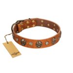 "Call of Feat" FDT Artisan Tan Leather Belgian Malinois Collar with Old Bronze-like Studs and Oval Brooches