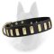 Gorgeous Wide Leather Dog Collar With Plates