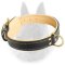Belgian Malinois Nappa Padded Leather Dog Collar