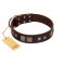 "Object of Virtu" FDT Artisan Brown Leather Belgian Malinois Collar with Old Silver-like Square Studs and Pyramids