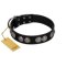 "Magic Amulete" Handcrafted FDT Artisan Black Leather Belgian Malinois Collar with Chrome-Plated Shields