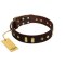 "Blinking Illusion" FDT Artisan Brown Leather Belgian Malinois Collar with Old Bronze-like Studs and Plates