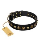 "Reckless Mutt" FDT Artisan Black Leather Belgian Malinois Collar with Skulls and Brooches