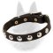 Belgian Malinois Studded Leather Dog Collar with Nickel Half-Ball Studs