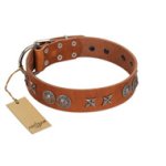 "Splendid Armor" Premium Quality FDT Artisan Tan Designer Belgian Malinois Collar with Shields and Stars