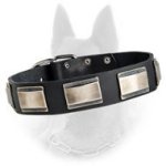Belgian Malinois Leather Dog Collar Decorated with Carved Nickel Plates