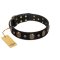 Pirate's Spell' FDT Artisan Black Leather Belgian Malinois Collar with Engraved Studs and Medallions