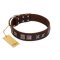"Needle Stories" Modern FDT Artisan Brown Leather Belgian Malinois Collar with Square Engraved Plates and Four-Point Stars