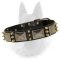 Belgian Malinois Leather Dog Collar with Old Nickel Plates and Brass Spikes